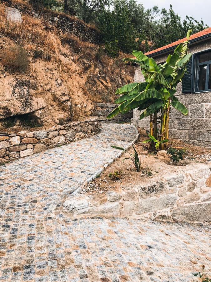 Quinta Do Fojo Valonguinho, Barro Bed & Breakfast Barro  Dış mekan fotoğraf